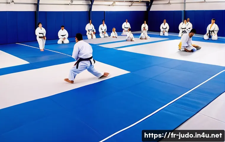 유도 매트 안전 인증 기준 관련 이미지 1