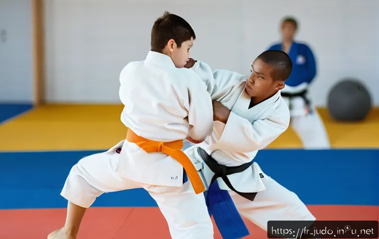 유도 벨트 단계별 설명 관련 이미지 1