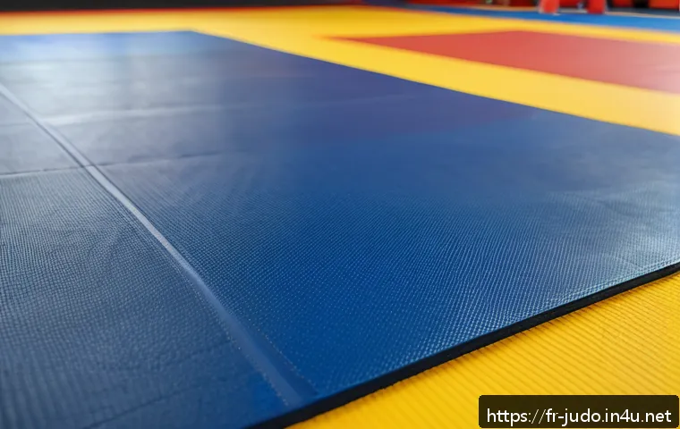 유도 선호 매트 브랜드 관련 이미지 2