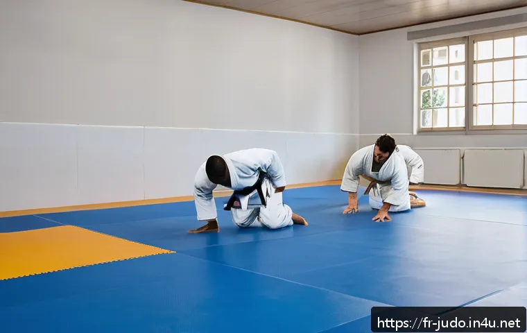 유도 초보자를 위한 도장 추천 관련 이미지 2