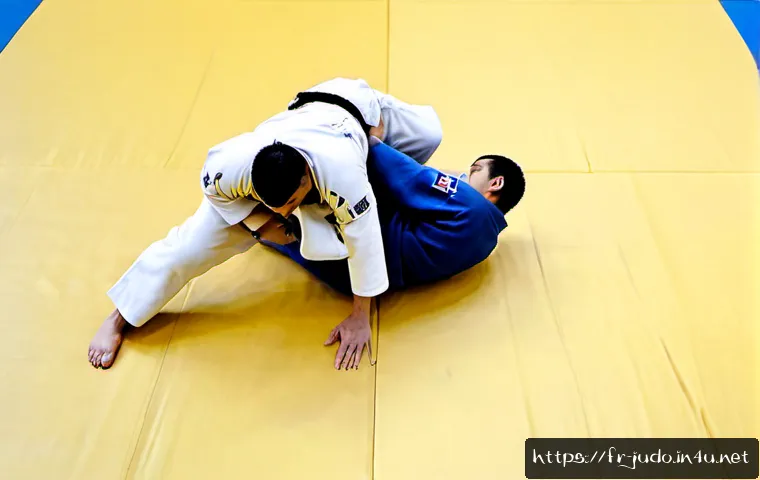 유도 경기에 사용되는 기술 비교 관련 이미지 1
